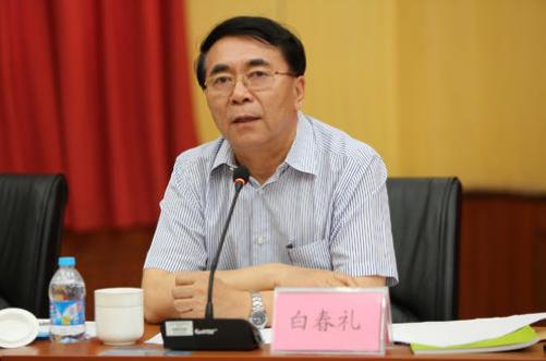 谋划布局？白春礼就国内半导体再次发声！这句话很重点