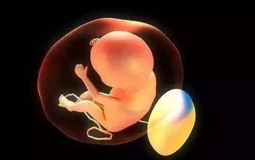 南浔的梦|孕期做几次B超检查为宜？准妈早做“计划”，做多恐对女宝有隐伤