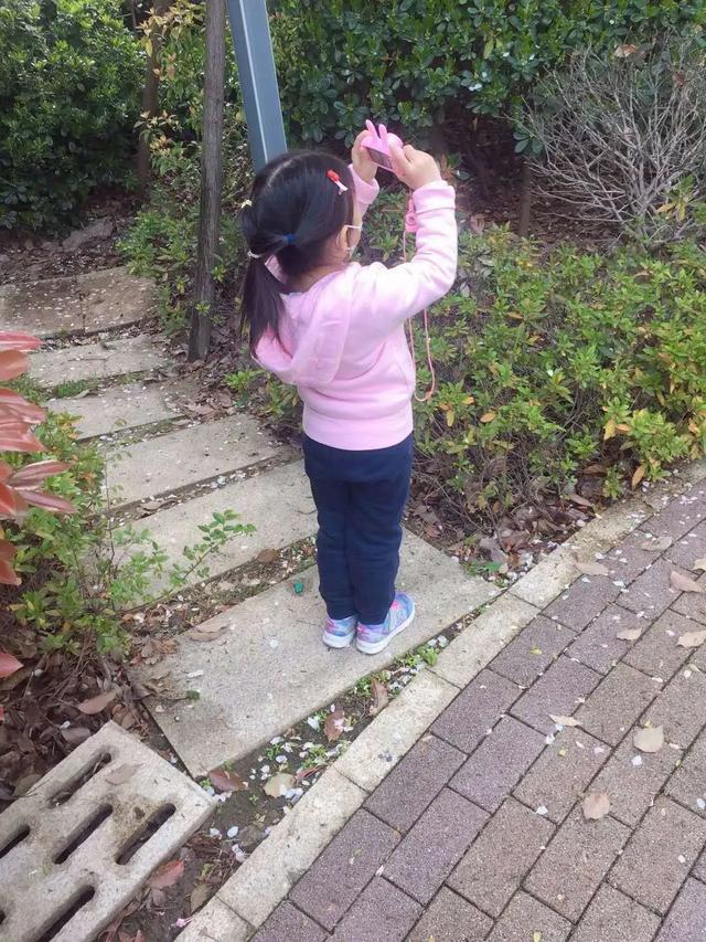 「你的育儿经」来自南京幼儿园的“春天散文诗”