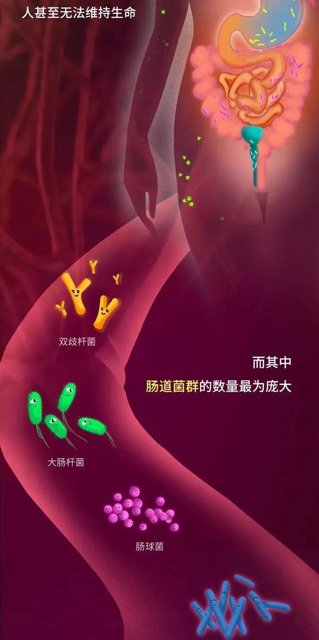 很多人感冒都吃错药！不仅没治好，吃多还将没药救！