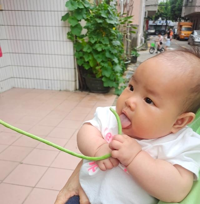 你的育儿经|怀二胎的路