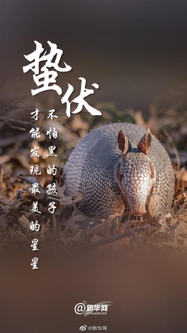 关爱环境 刻不容缓|光明网