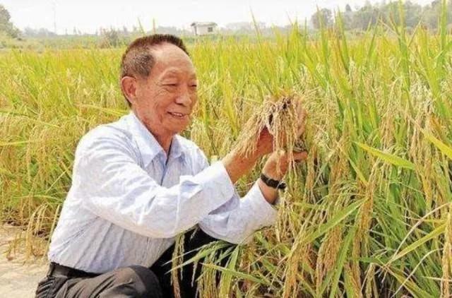 林巧稚|一位厦门人75年前的手写病历火了！曾亲手接生袁隆平