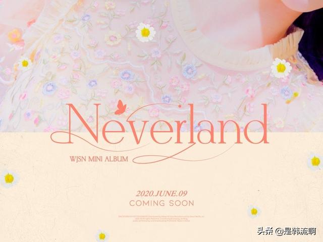 女团大战！这个六月太过瘾啦|电影工厂