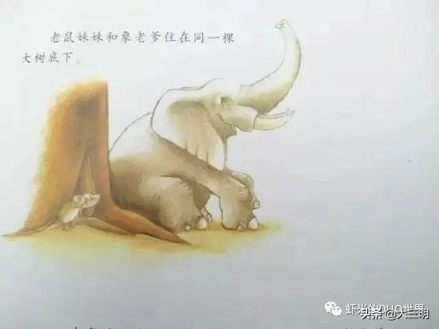 你的育儿经■「家园携手」贴心云陪伴 童年不“童”样(二十四)