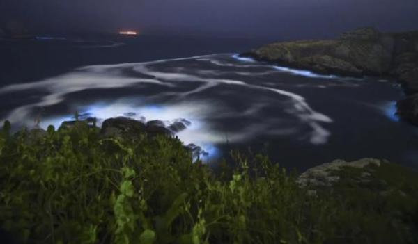 惊艳!“蓝眼泪”奇观再现浙江|光明网