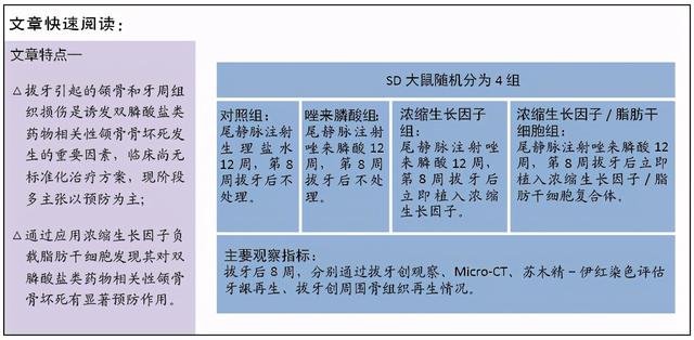 浓缩生长因子负载脂肪干细胞预防SD大鼠双膦酸盐类药物相关性颌骨骨坏死