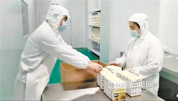 哈尔滨|小小“预拌粉”要做“大蛋糕”