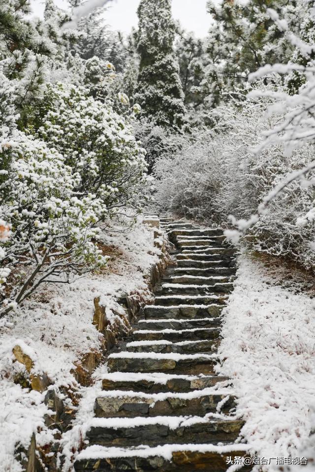 雪天开车不“打滑”@烟台司机：冰雪路面行车技巧一定要知道