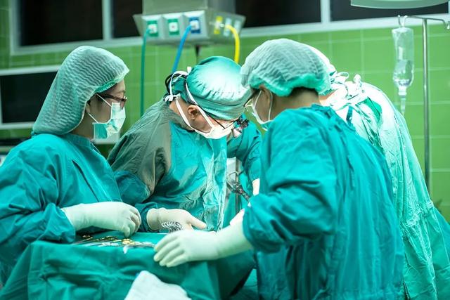 「超级宝妈」疫情当下，和孩子谈谈自然生命教育