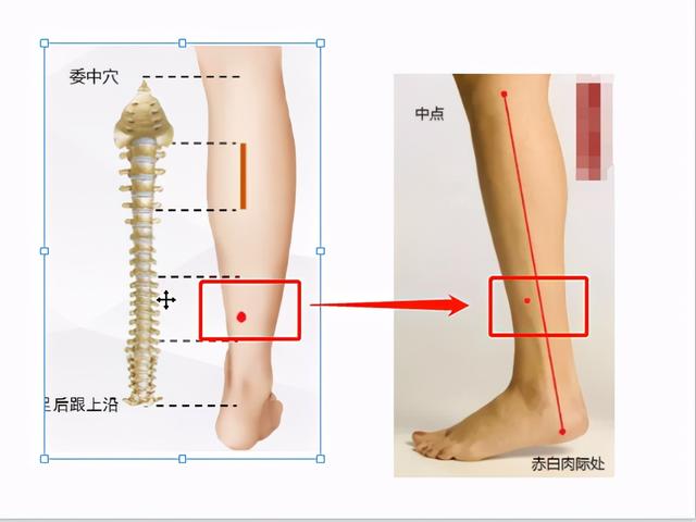 甲状腺、乳腺、子宫上的疾病同根同源，中医理论上如何健康调理？