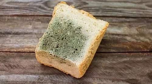 「你的育儿经」健康部落｜一岁以内宝宝不能吃蜂蜜？这10个饮食禁忌要注意