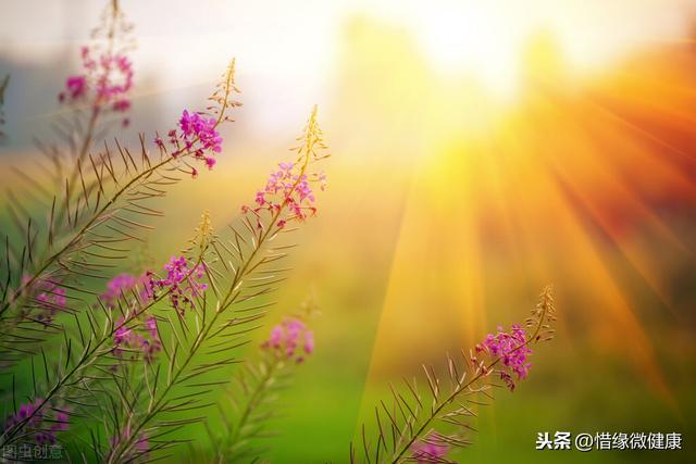 「惜缘微健康」重新定义，癌症治疗到康复的根本方向