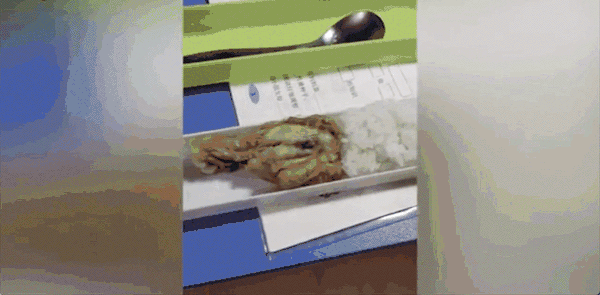 爸爸和儿子的对话让无数人泪目：你永远想象不到孩子有多爱你