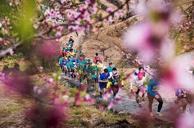 「旅行柚子君」“天下第一桃园”惊艳回归,在桃花盛开的地方遇见泼墨人家