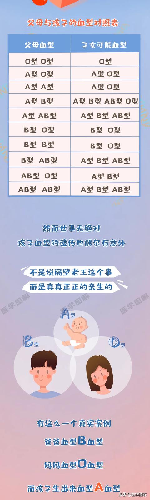 [你的育儿经]宝宝的血型竟然会和父母的不同丨医学图解