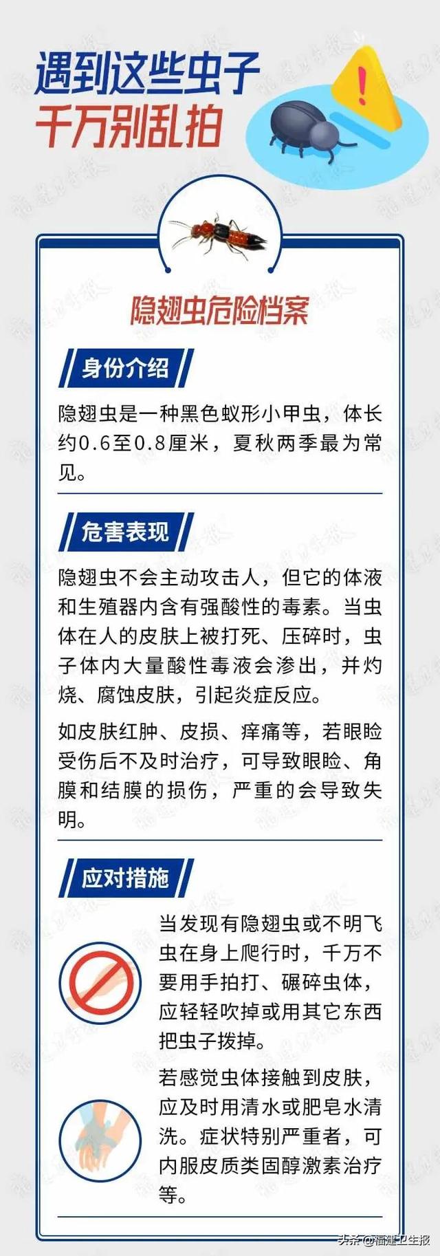 发热|福建疾控发布最新提醒：警惕这种急性传染病！夏天高发