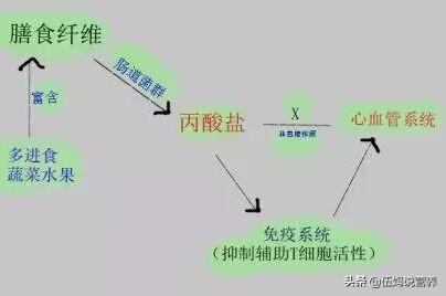 肠道|肠道是人体里的“第二大脑”和“第二心脏”，选择这样吃就对了