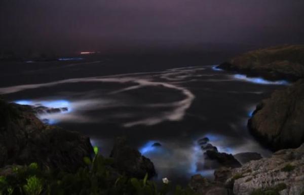 惊艳!“蓝眼泪”奇观再现浙江|光明网