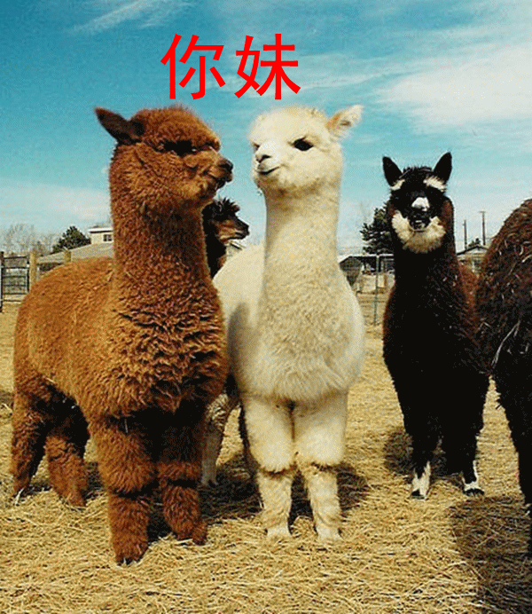 #超级宝妈#“双语宝宝”是怎么练就的？产科医生来告诉你高能的答案......