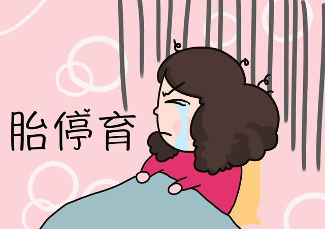 极光家园|孕期，这个阶段是“胎停”高发期，为了胎儿健康，孕妈别大意