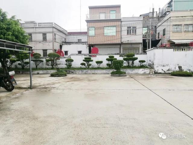 岐石镇林美村:环境优美 生机勃勃