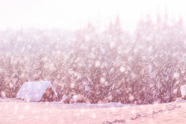 冬季的雪 一直没有来