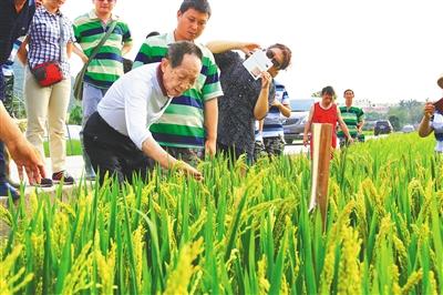 2015年3月22日,在三亚亚龙湾隆平高科南繁基地,袁隆平与一位工作人员