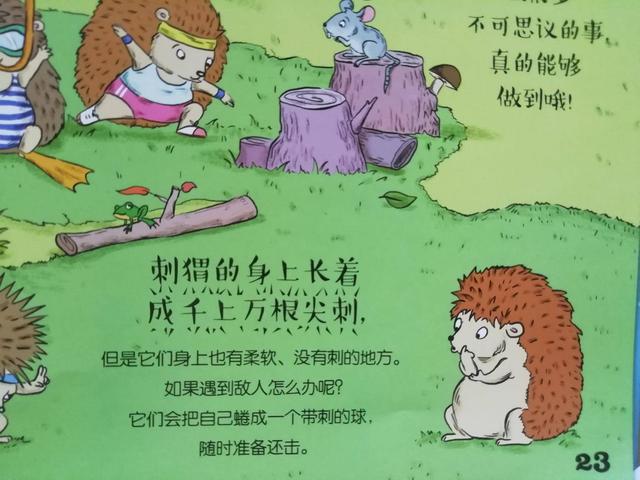 你的育儿经■适合3岁小朋友读的动物科普书