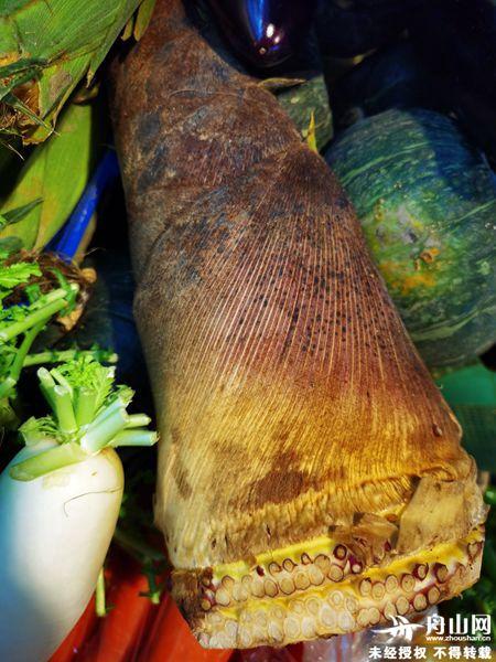 刀鱼|我们的节日丨清明:舌尖上的美味