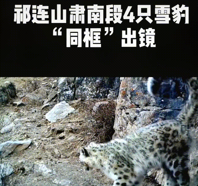 [浅唱风]联合国点赞的中国最低调省份，居然深藏如此宝藏小城！几乎浓缩西北全部的美，然99%的人路过却错过了！