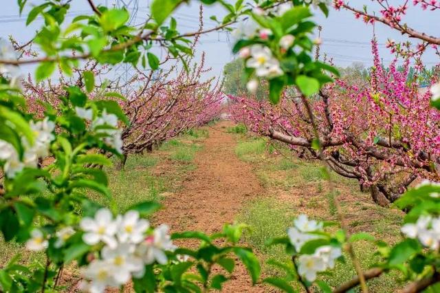 「旅行柚子君」云游通州 | 过把陶渊明的瘾!快节奏中的慢时光,城市里的世外桃源