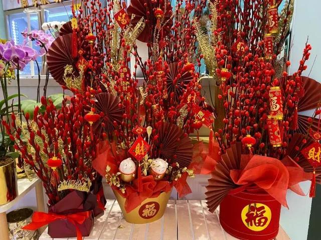银柳|这样“年货”你备了吗？年宵花图鉴（上）
