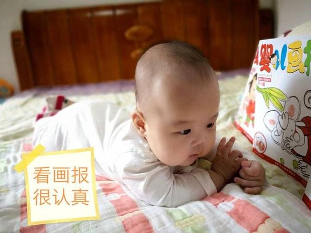 你的育儿经：阅会｜书香墨香陪伴着桃子成长，享受阅读的快乐