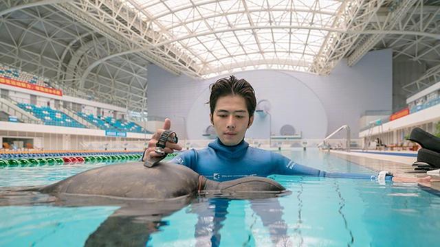 斜杠青年！陈学冬晒资格证 宣布成为自由潜水教练9号放映厅