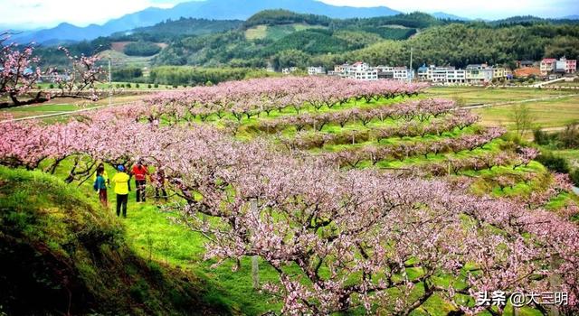 #旅行柚子君#【中国绿都?最氧三明】三明绝美古风拍摄地,随便一按就是穿越大片!