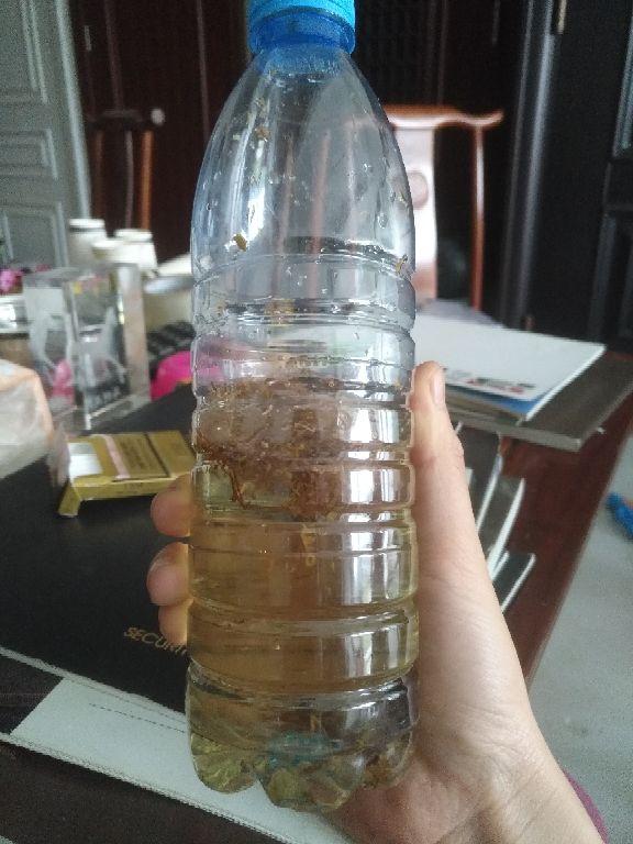 11月天气干旱，花卉容易生虫，自制杀虫水远离虫害