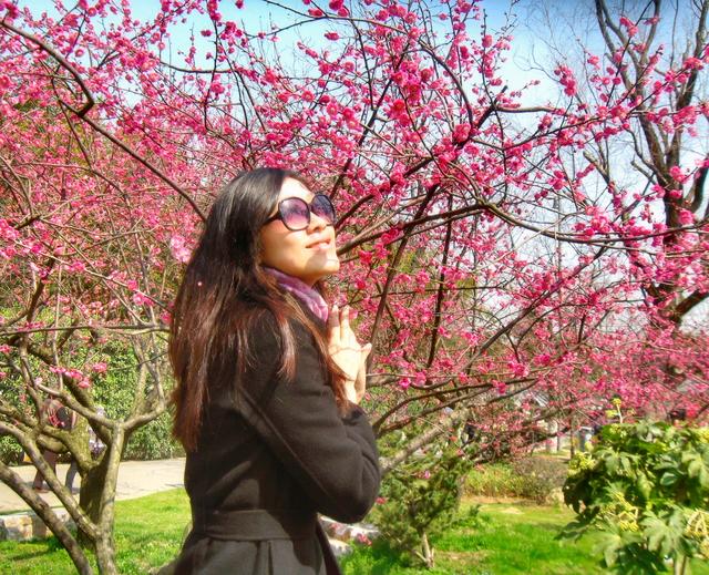 #约吗旅行#南京赏花图鉴：没去赏花的春天是不完整的！