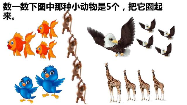 你的育儿经▲幼儿图画数字连线游戏，小中班的爸爸妈妈可收藏。