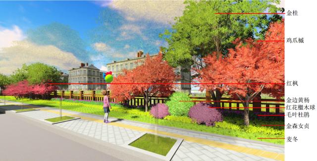 #万丈光芒#新增4条滨河步道、打造四季有景的滨水空间……松江这里的河道变化你期待吗？