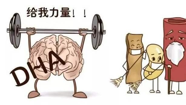 你的育儿经|孕期，胎宝宝大脑发育关键期，不要忽视必要营养的补充