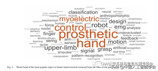 学术分享丨假肢手的综述（2）