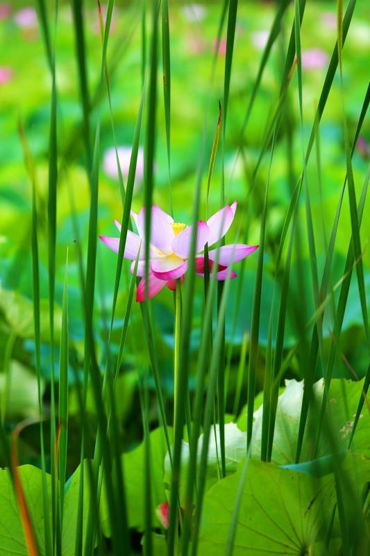 花花世界,浮华人生.静默淡然,随遇而安.