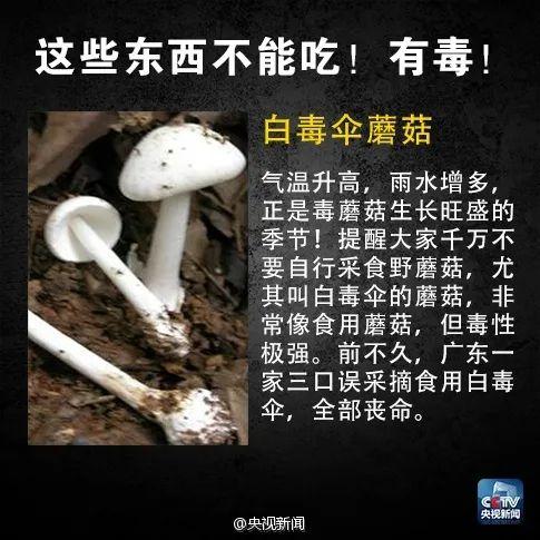 葫芦|警惕！这种家常菜一旦发苦，赶紧扔掉