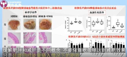 蛋糕|益生菌+蛋糕=“减肥蛋糕”？菌种研发老师：该说法不严谨