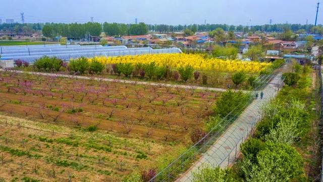 「旅行柚子君」云游通州 | 过把陶渊明的瘾!快节奏中的慢时光,城市里的世外桃源