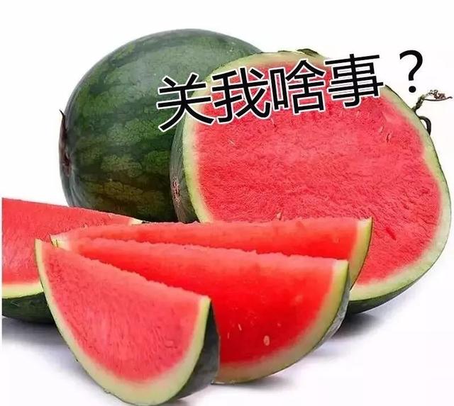 水仙花|水仙竟然只开花不结果？原因在此