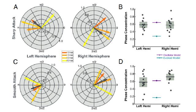 PNAS：音乐刺激调制神经节律的两种理论模型