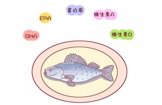 你的育儿经|不是所有的鱼吃了都能让宝宝变聪明,这几种鱼是黑名单,你知道吗