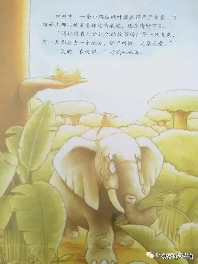 你的育儿经■「家园携手」贴心云陪伴 童年不“童”样（二十四）